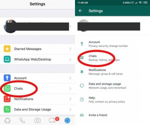 Chat WhatsApp Terhapus Permanen? Ini 2 Cara MemulihkannyaG