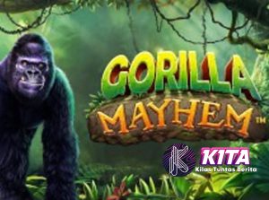 Wajib Coba! Gorilla Mayhem: Slot Gacor Terbaru yang Bikin Heboh!