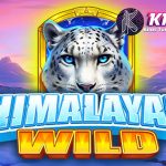 Himalayan Wild: Slot Seru dari Pragmatic Play, Apakah Worth It?